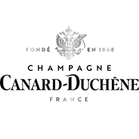 Logo 4