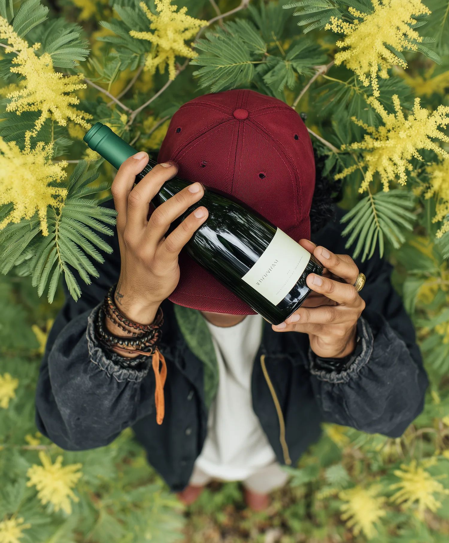 Red wine collection 3066 - Premium bottle visualization